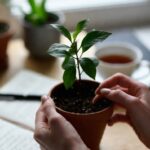 Ritme Harian yang Membantu Menjaga Perasaan Tetap Seimbang